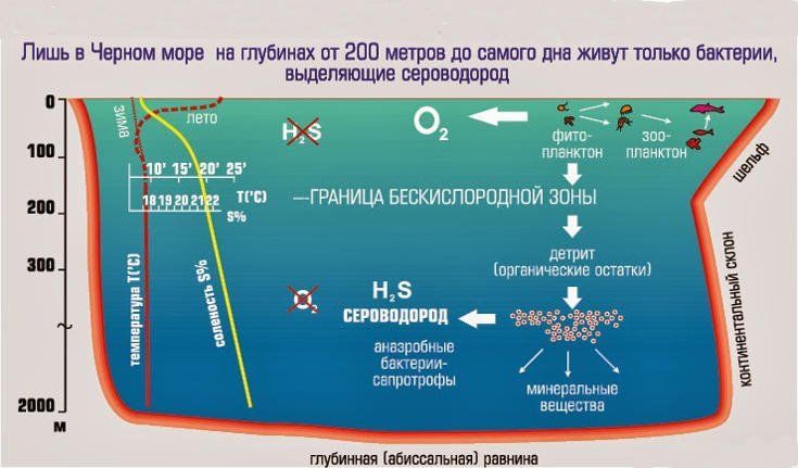 Сероводород в черном море фото